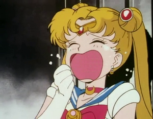 Sailor Moon crying