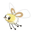 Cutiefly