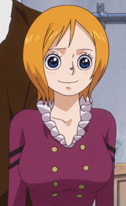 Koala, One Piece Wiki