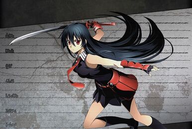 Anime: Akame ga kill, #Isa