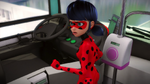 Animan - Ladybug 14