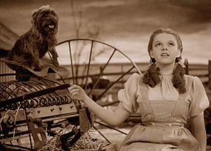 Dorothy longing for a faraway land
