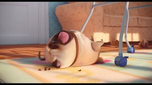 Mel (The Secret Life of Pets) found a baby in the carriage