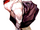 Touka Kirishima