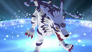 Garurumon during Digivoltion