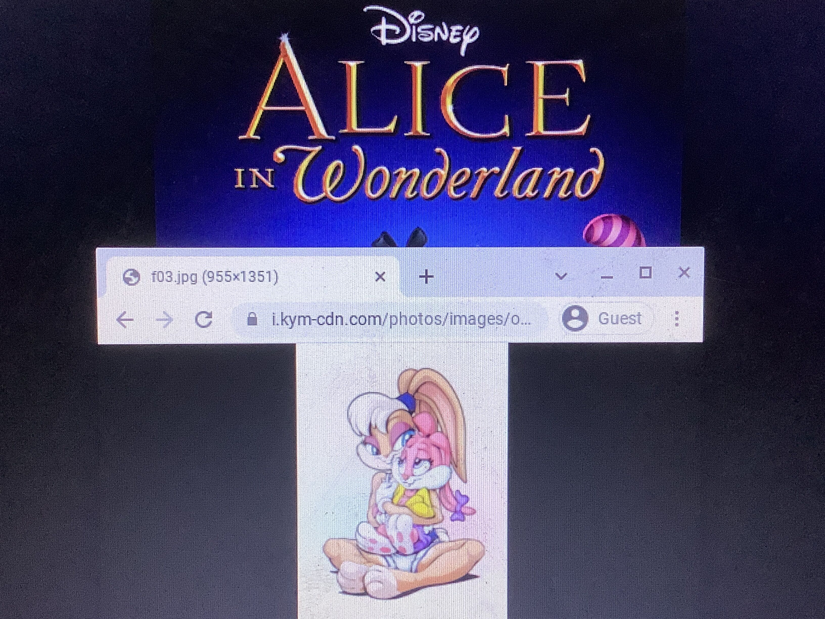 Disney+ on X: Alice in Wonderland (1951)  / X