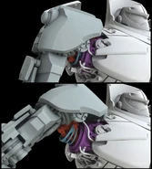 Joint mechanics