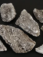 Kaiju Bone Fragments-02