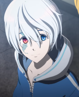 Human Form