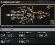 The anatomy of Knifehead