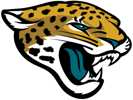 Carolina Panthers Alternate Logo - National Football League (NFL) - Chris  Creamer's Sports Logos Page 