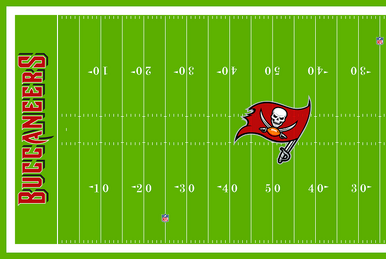 Pirates Tampa Bay Buccaneers Sea Nfc South Division Champions