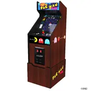 Pac-Man Plus