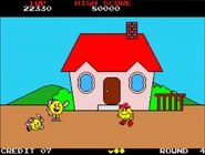 The hat and flower of legal shame...