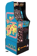 Ms. Pac-Man/Galaga Class of '81