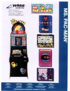 Flyer for the Ms. Pac-Man model