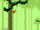 Forest (Pac-In-Time)