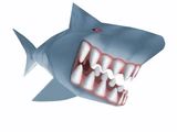 Shark