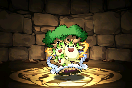 Pet779.png
