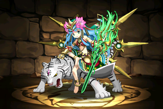 Pet241.png