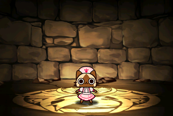 Pet1609.png