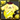 No.1163 TAMADRApurin