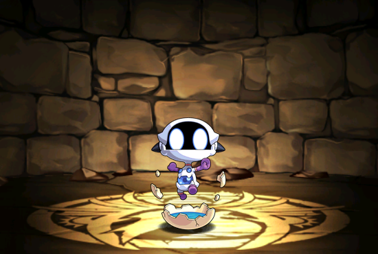 Pet675.png