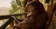 Lucy at the Home for Retired Bears (Paddington)
