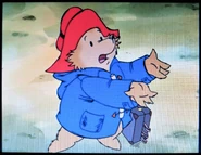 "It just got caught in my suitcase!"