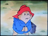 "I didn't steal the scarf!"