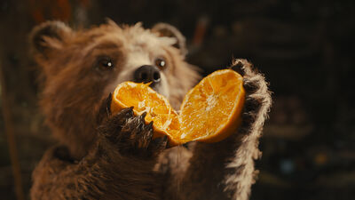 Paddington holds open an orange