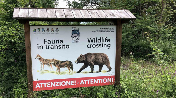 Bears at italy | Paddington Bear Wiki | Fandom Bears at italy | Paddington Bear Wiki | Fandom