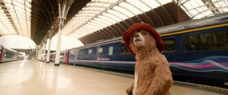 Paddington Bear 43