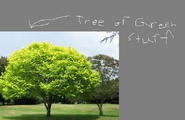 Treeofgreenstuff