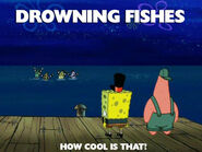 Drowningfishes