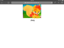 Joey.jpeg