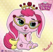 Booksy-Princess-Palace-Pet-SKGaleana-image-copy.jpg