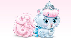 Disney palace pets slipper.jpg