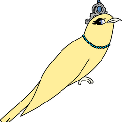 Andrews bird and pet palace top