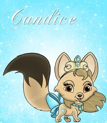 Candice.jpg
