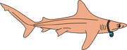 Sandbar.png