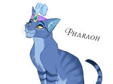 Pharaoh (Sand Cat)