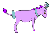 Aaron.png