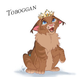Toboggan
