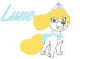 Lune.jpg