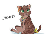 Ashley (Kitten)