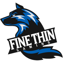 Fine Thin Gaminglogo square