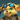 Champion Pip Icon