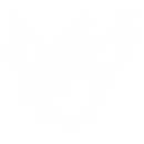 GUI Store Icon.png