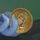Saati Valera Coin